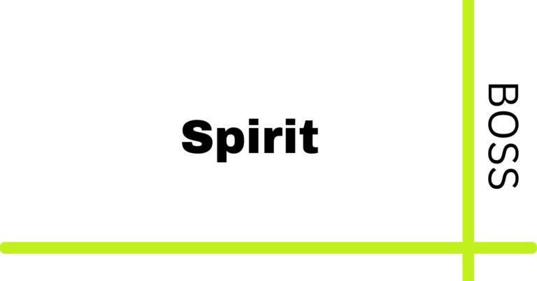boss spirit prices pakistan