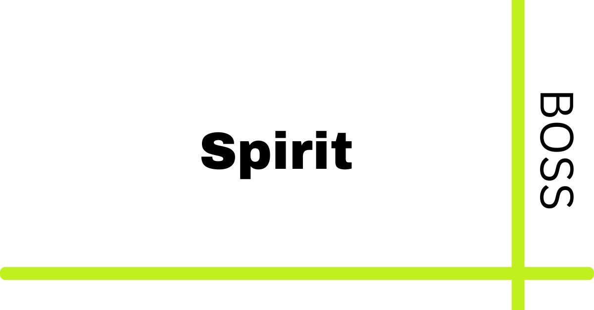 boss spirit prices pakistan